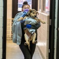 Santapi Animal Careers - Santa Fe Animal Shelter